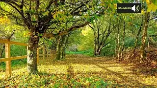 Saturday afternoon forecast 17/10/20