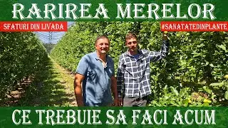 Rarirea fructelor in plantatia Bau Frutch