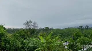 Peruvian Amazon rainforest. Light rain for sleeping.