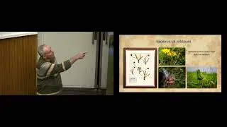 Karst Meijer - Paardenbloem boegbeeld biodiversiteit