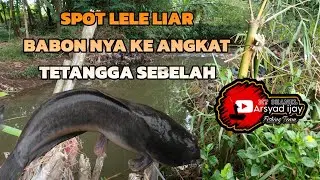 MANCING LIARAN NAMBAH SODARA #Mancing #trend