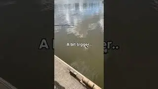 Brisbane river fishing pt.4 😛