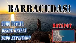 BARRACUDAS DESDE ORILLA (tutorial)