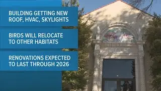 Saint Louis Zoo renovating its Bird House