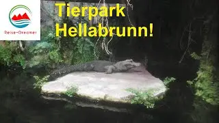 Ein sonniger Herbsttag im M&uuml;nchner Tierpark Hellabrunn mit vielen H&ouml;hepunkten!