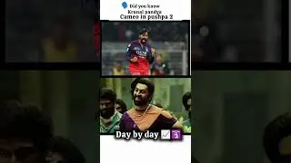 Krunal Pandya Cameo in Pushpa 2 ! 😭🫡📈 | Day by Day Unbelievable 😂🔥 #shorts #memes #funny #yt