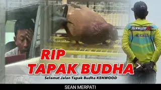 🔴 RIP 