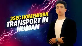 Homework 2sec Transport in Human (dr. Yathreb)