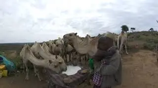 Barbs & Bridges The Horn of Africa cross border Experiences