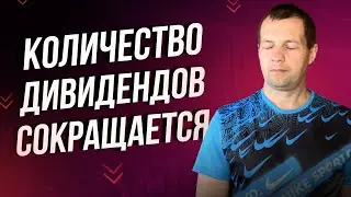 Доверия инвесторов падает. Компании отменяют дивиденды  Обзор портфеля.