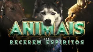 Animais que Recebem Espíritos / Cortes do Rabino Eliahu