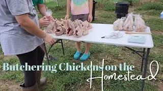 BEGINNER CHICKEN PROCESSING AT HOME | CHICKEN PROCESSING ON THE HOMESTEAD