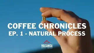 Unraveling the Magic of Natural Process Coffee - Exploring Las Mercedes Coffee Farm in Costa Rica