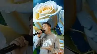 #cover2024 #shortsvideo#,белыерозы#shorts