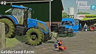 Buying Pigs, Finishing Picking Up Grass For Silage, Wheat Harvesting│Gelderland│FS 22│Timelapse#2