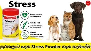 සුරතලුන්ගේ දත් අස්ථි වර්ධනයට හොදම විටමින් එක | Dog Vitamine Vetzyme Stress Powder Price- Pet Life Lk