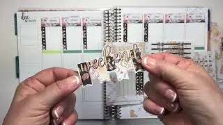 NEW YEAR'S STICKER KIT - PLAN WITH TAMMY Week of 12-31-18