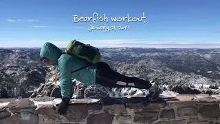 Bearfish Workout - Episode 2