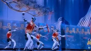 2026 Chinese New Year Gala Robot Martial Art Performance 