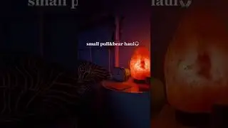 Pull&Bear Haul tiktok 1ovelifee