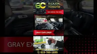 GRAY EXPLORER TEC by Dealer Media
