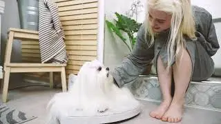 OZwind Body Dryer Premium (Korea)