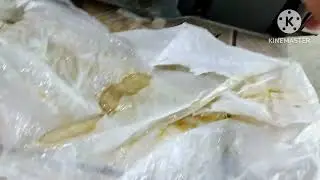 Compressor da Geladeira Soltando &Oacute;leo, Motor de Geladeira Com Problema