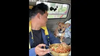 别人跟的押运员都能帮忙干活，我车上的押车的，啥也不干，还得包吃包住😂😂#纪录美好生活 #卡车司机 #货车司机 #货车司机的生活 #狗狗的日常