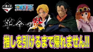 【一番くじ】ワンピース！お財布との戦い!! 推しへ愛は届くのか!?
