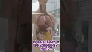 Is Anatomy & Physiology Hard? #biology #nursing