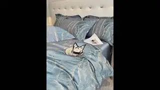 Bộ chăn ga gối gấm ho&agrave;ng gia #changagoi #changagoidem #shortvideo