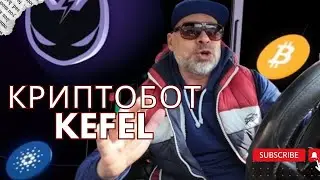 Тест торговых крипто-ботов Kefel!