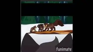 Yellowfang's Life ~ Breaking me ~ (Gelbzahns Lebensgeschichte) Warrior Cats