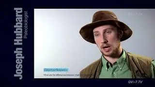 Различия между мелом и известняком