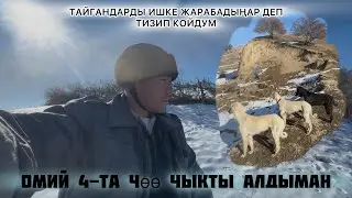 СӨГҮНБӨЙ КӨРҮП ТУРГУЛА, МЕНДЕЛЕ АРАКЕТ КЫЛЫП ЖАТАМ