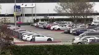 Tesla sales rise in parts of Europe amid pressure from rivals | REUTERS