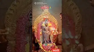 #Palani 🙏Murugan 🪷 Rajakolam 🌹 #Palani #dandaidhabani#Murugan#shorts video🌷