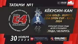 Кёкусин-кан. LIDA OPEN CUP и LIDA GOLD 2024 (Татами 1).