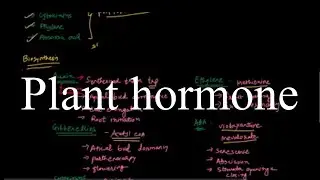 Plant hormones - Types and precursors