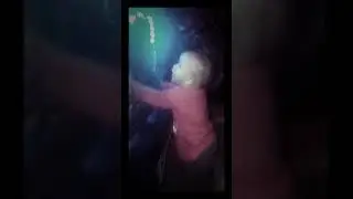 Renan dan&ccedil;ando