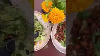 Preparing a true farm-to-table dinner this fall #farmtotable #sanjuancapistrano #guestchef #cheflife