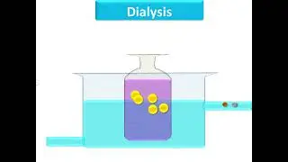 Purification of colloidal solution Electrophoresis