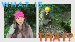 This Changes Everything! | Cool Discovery On Portuguese Homestead In The Mountains