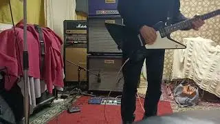 PURPLE Explorer BLUES