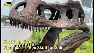 Vivid Fiberglass T-Rex Skull for Sale | Fossil Replica