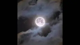 THE INDIGO CHYLD - &ldquo;Tragic&rdquo;