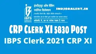 IBPS Clerk Recruitment 2021 Apply Online CRP Clerk XI 5830 Post Notification