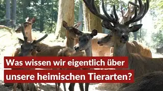 Wildpark Neuhaus | Hinter den Kulissen | wsrTV