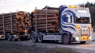 #timber #trailer #semi #tanker & #box #trucks #volvo #scania #mercedes #renault