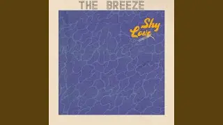 Shy Love